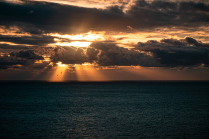 Beneath the Light We See with Lynne Larson