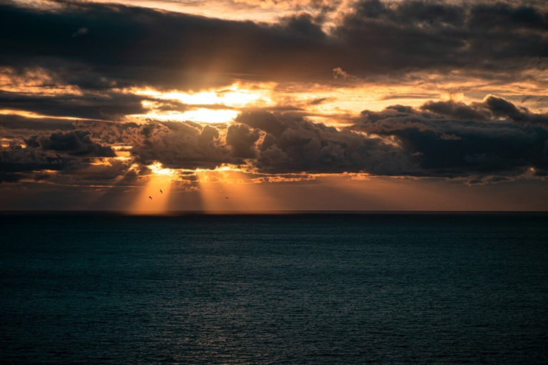 Beneath the Light We See with Lynne Larson